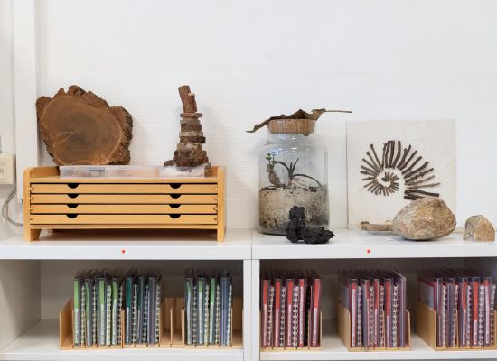 Lernen in der Galemo